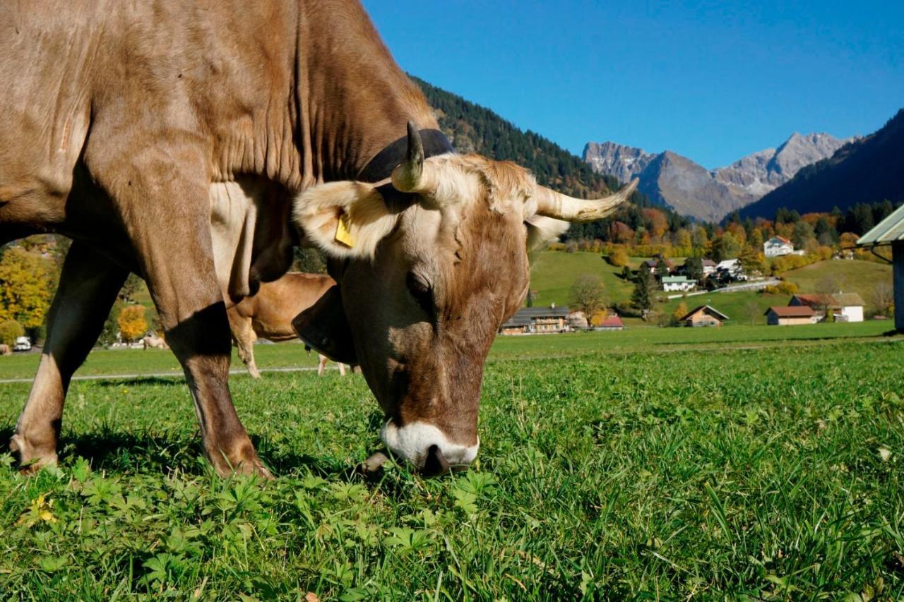 Wiesenblick Oberstdorf Exterior photo
